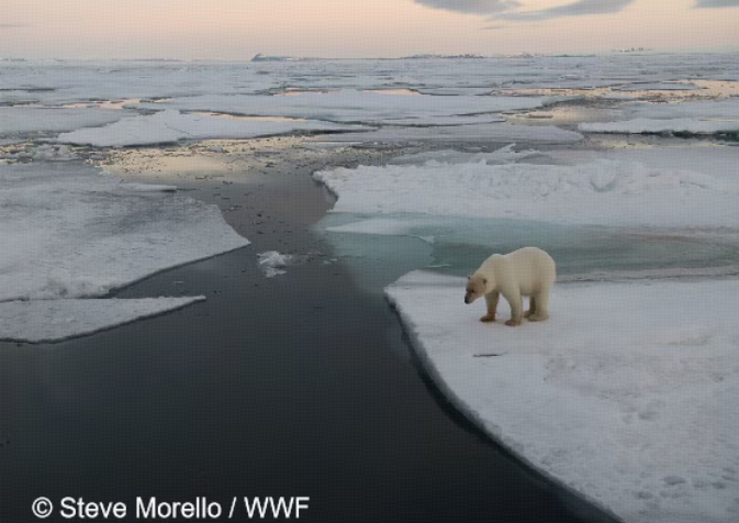 2c198683dbd5feef2ae118b08355e89b.png 2c198683dbd5feef2ae118b08355e89b.png