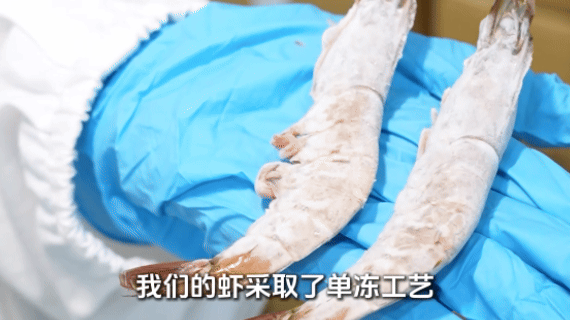 9f31caaa2b415901ab9b24d838dcd4e7.jpg