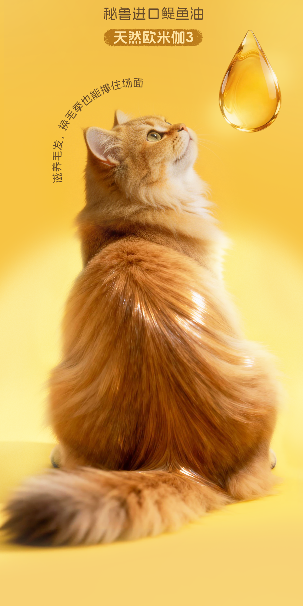 c51472df0f38ef5c1afe0662ccfd3305.png